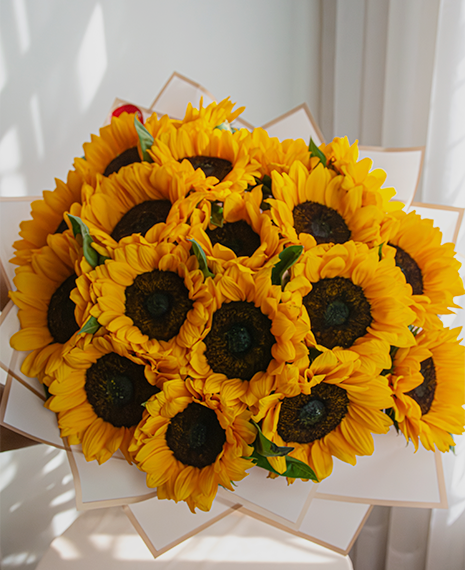 Ramo de Girasoles XL