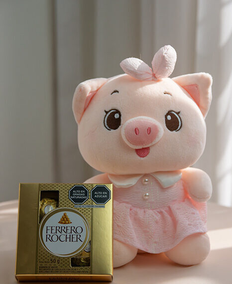 COM-OP-8 Pack cerdita + Chocolate