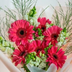 Ramo de Gerberas