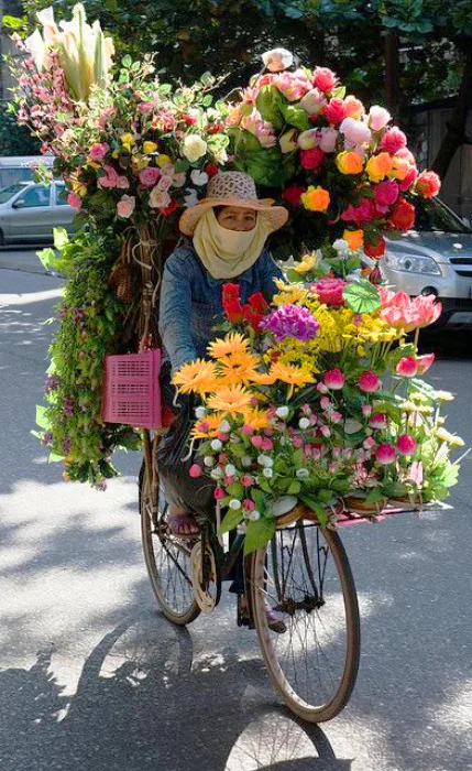 Flower Bikes